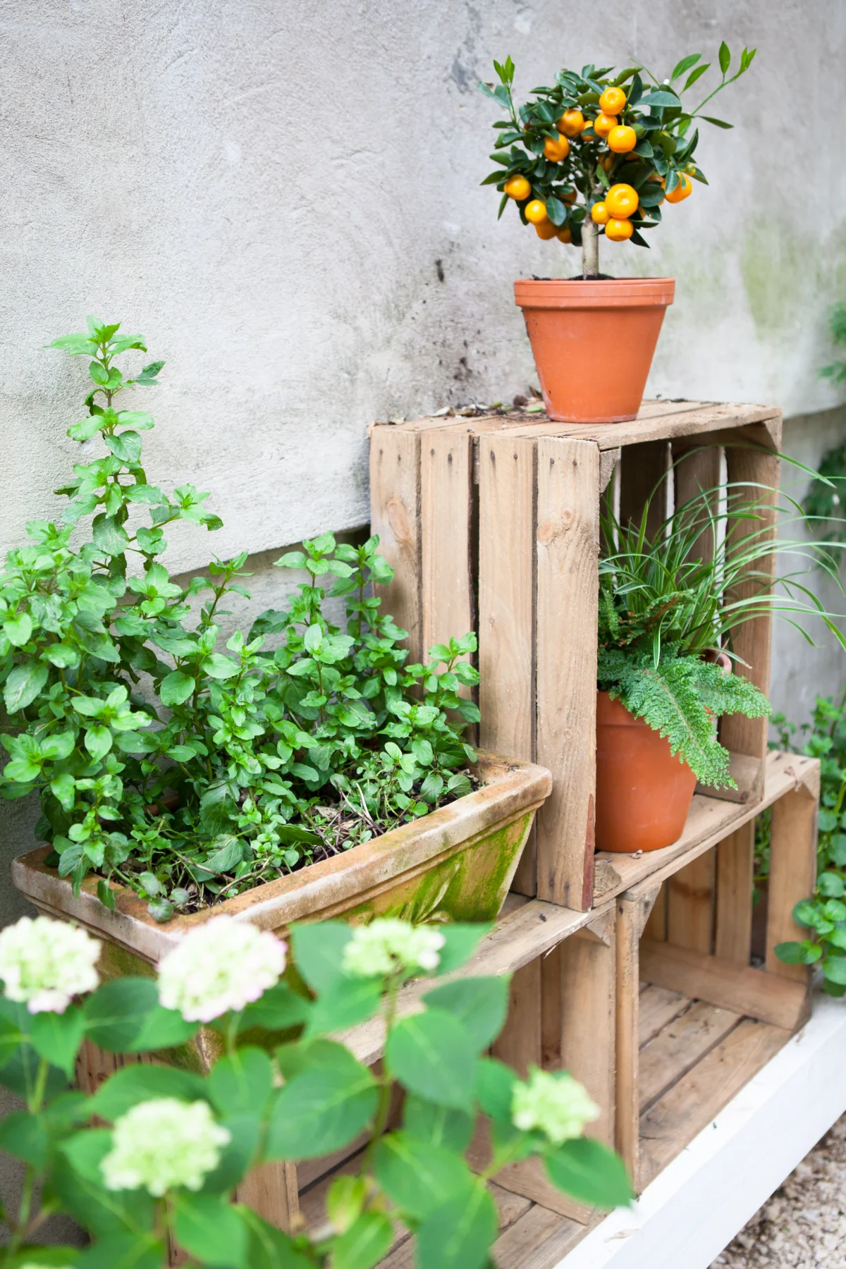 Secret Garden bei Dale's Cake