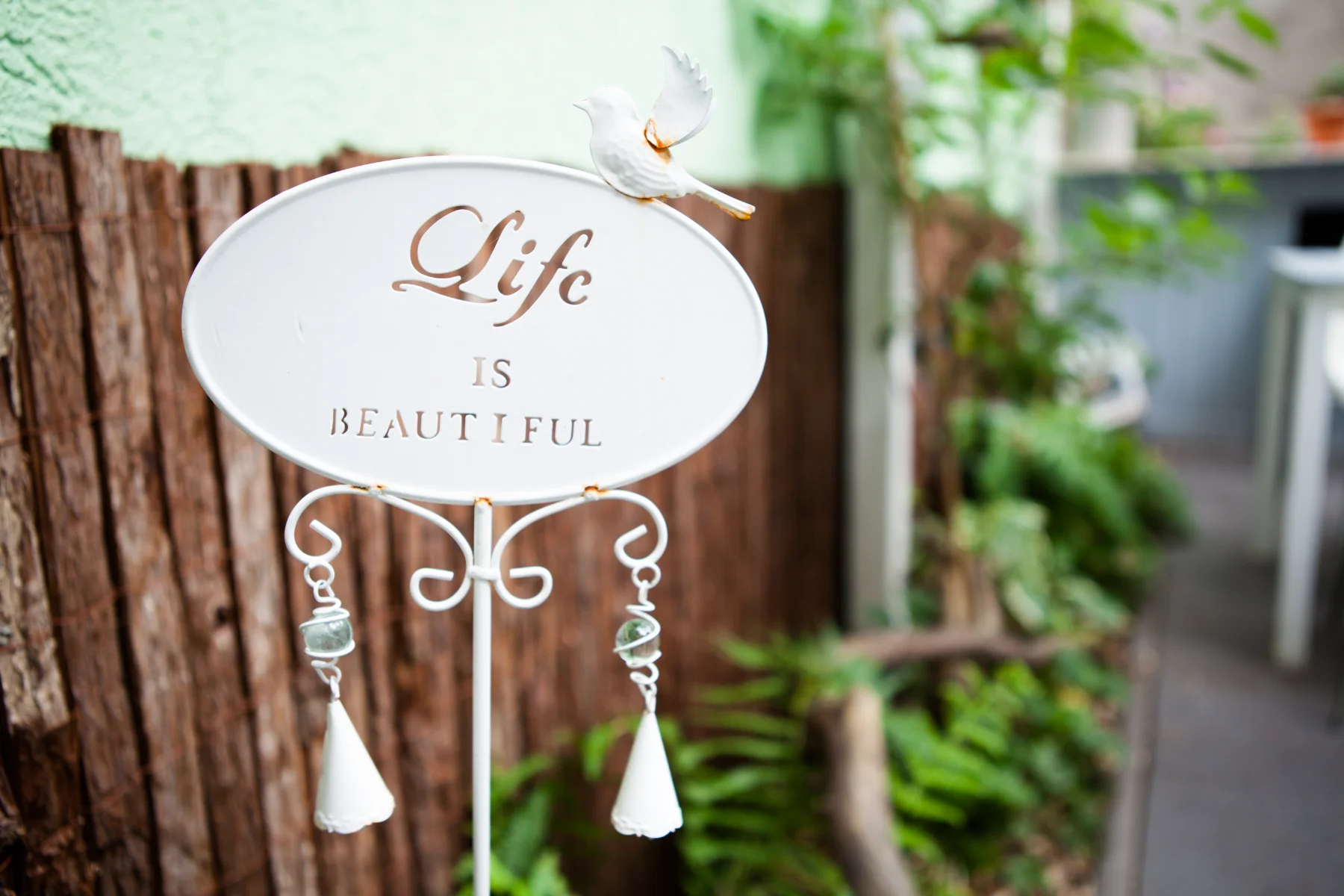 Secret Garden bei Dale's Cake